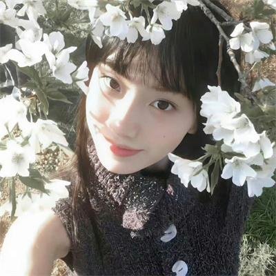 绝代艳星宝莲的一生 封面