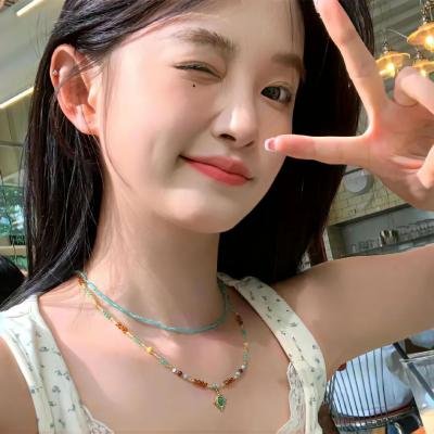 金刚斗恐龙 封面